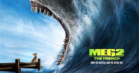 Pitted against colossal Megs and relentless environmental plunderers, our heroes must outrun, outsmart, and outswim their merciless predators in a pulse-pounding race against time. Immerse yourself in the most electrifying cinematic experience of the year with "Meg 2: The Trench" - where the depths of the ocean are matched only by the heights ...